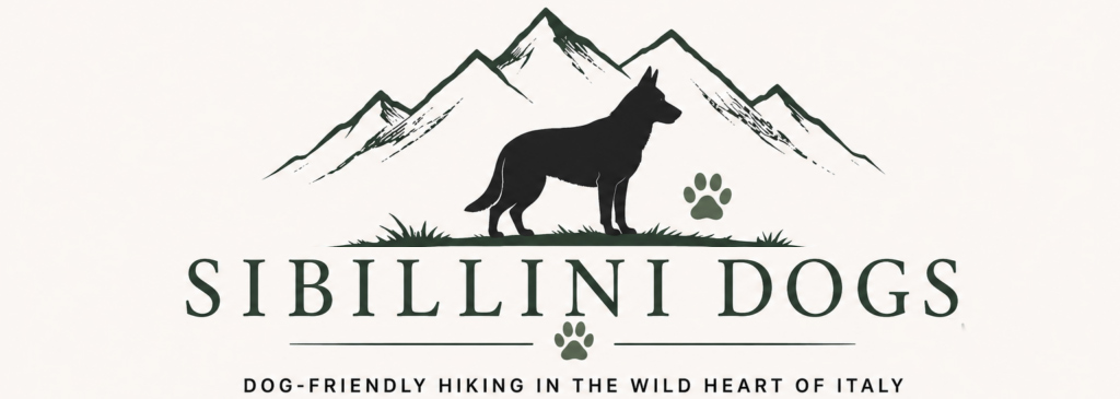sibillinidogs.com
